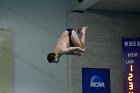 Swimming vs CGA  Wheaton College Swimming & Diving vs Coast Guard Academy. - Photo By: KEITH NORDSTROM : Wheaton, Swimming, diving